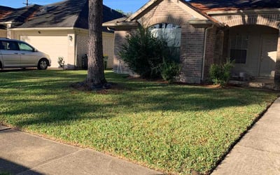 Photo of Alyssa S.'s yard after getting lawn care in Pearland, TX