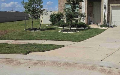 Photo of Stacy W.'s yard after getting lawn care in Peoria, AZ