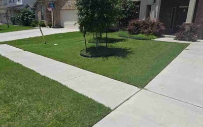 Photo of Jason F.'s yard after getting lawn care in Missoula, MT