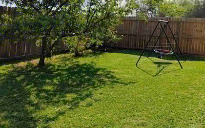 Photo of Gretchen W.'s yard after getting lawn care in Bainbridge Island, WA