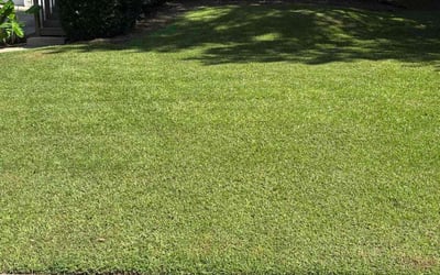 Photo of Brenda R.'s yard after getting lawn care in Londonderry, NH