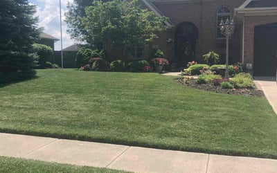 Photo of Doris N.'s yard after getting lawn care in Vandalia, OH