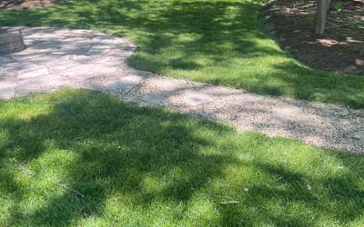 Photo of Anthony P.'s yard after getting lawn care in Beach Park, IL