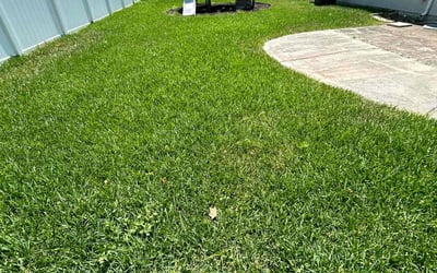 Photo of Susan g.'s yard after getting lawn care in Amherst, MA