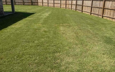 Photo of Tim H.'s yard after getting lawn care in Horn Lake, MS