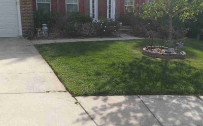 Photo of Kathryn F.'s yard after getting lawn care in Beltsville, MD