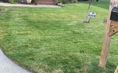Photo of Mike L.'s yard after getting lawn care in Duluth, GA