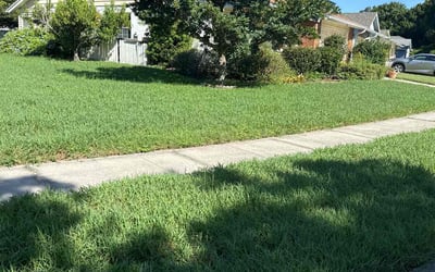 Photo of Marissa D.'s yard after getting lawn care in Winter Park, FL