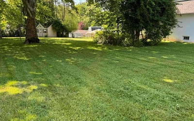 Photo of Cynthia D.'s yard after getting lawn care in East Norriton, PA