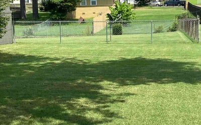 Photo of Joan G.'s yard after getting lawn care in Mckeesport, PA