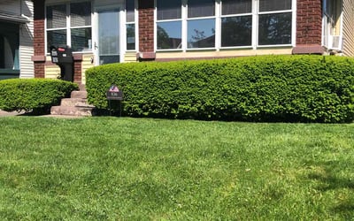 Photo of Sapphire C.'s yard after getting lawn care in Centerville, OH