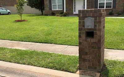 Photo of Jared M.'s yard after getting lawn care in Jacksonville, FL