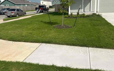 Photo of Courtney D.'s yard after getting lawn care in O'Fallon, MO