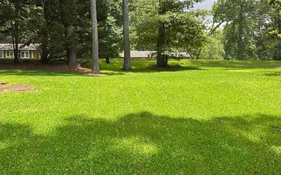 Photo of Matthew S.'s yard after getting lawn care in King Of Prussia, PA