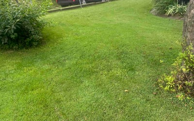 Photo of Chris K.'s yard after getting lawn care in Ridgefield, CT