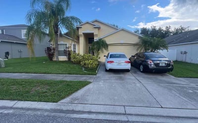 Photo of Brian H.'s yard after getting lawn care in Plant City, FL