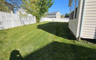 Photo of Philip W.'s yard after getting lawn care in Clinton, MD