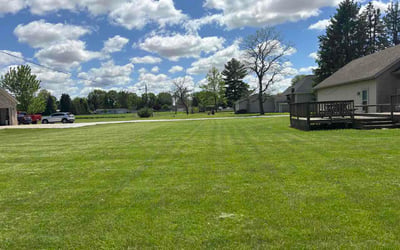 Photo of Alexis C.'s yard after getting lawn care in La Plata, MD