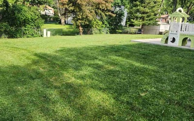 Photo of Rose S.'s yard after getting lawn care in Lacey, WA