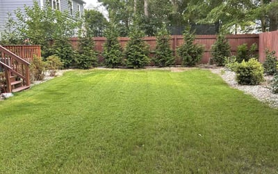 Photo of Emily H.'s yard after getting lawn care in Raleigh, NC