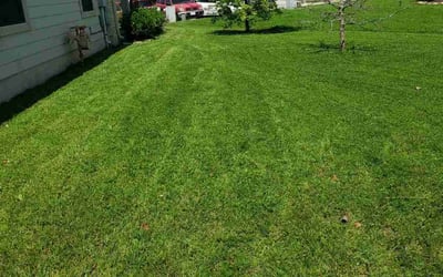 Photo of Jonathan H.'s yard after getting lawn care in Cincinnati, OH