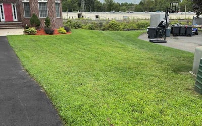 Photo of Sydney D.'s yard after getting lawn care in Livingston, NJ