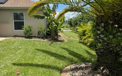 Photo of Kendra H.'s yard after getting lawn care in Arlington, VA
