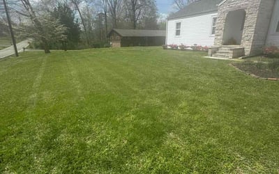 Photo of Ulrike P.'s yard after getting lawn care in Knoxville, TN
