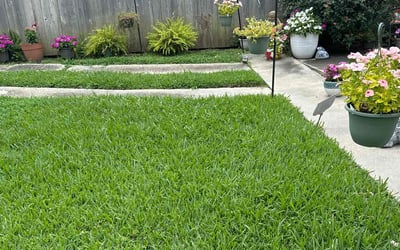 Photo of Michelle R.'s yard after getting lawn care in Little Elm, TX