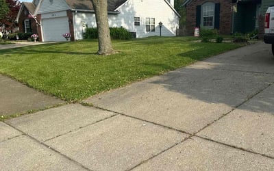Photo of Steph S.'s yard after getting lawn care in Wildwood, NJ