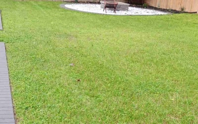 Photo of Ashlee C.'s yard after getting lawn care in Ogden, UT