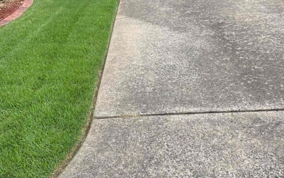 Photo of Bill b.'s yard after getting lawn care in North Little Rock, AR