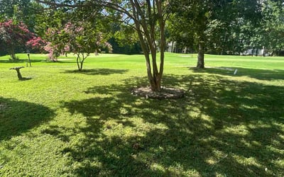 Photo of Dereck H.'s yard after getting lawn care in Hillsborough, NJ