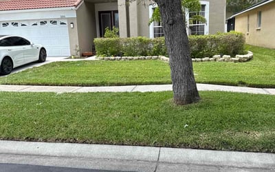 Photo of Jermaine E.'s yard after getting lawn care in Tampa, FL