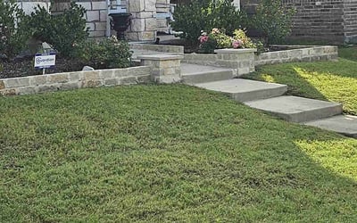Photo of Deborah B.'s yard after getting lawn care in Modesto, CA