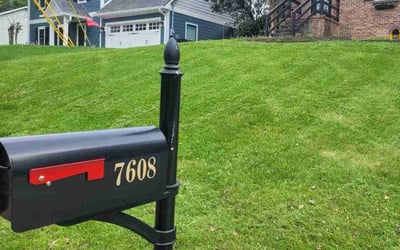 Photo of Raymond M.'s yard after getting lawn care in Farragut, TN