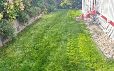 Photo of Alyssa K.'s yard after getting lawn care in Spanaway, WA