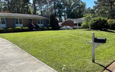 Photo of Vanessa S.'s yard after getting lawn care in Raleigh, NC
