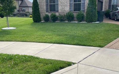 Photo of Sydney T.'s yard after getting lawn care in Gallatin, TN