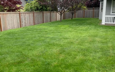 Photo of Judy T.'s yard after getting lawn care in Lakewood, WA