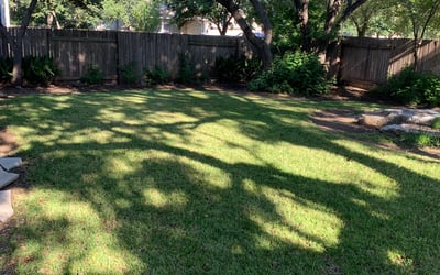 Photo of Terri T.'s yard after getting lawn care in Apache Junction, AZ