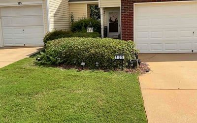 Photo of Matt F.'s yard after getting lawn care in Los Angeles, CA