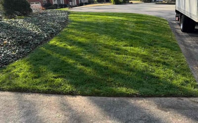 Photo of Dwayne S.'s yard after getting lawn care in Roswell, GA