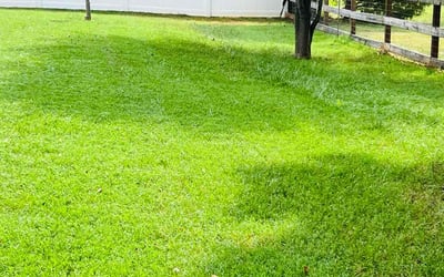 Photo of Daniel C.'s yard after getting lawn care in Statesville, NC