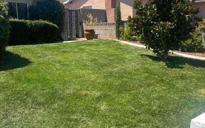 Photo of Mike S.'s yard after getting lawn care in Las Vegas, NV