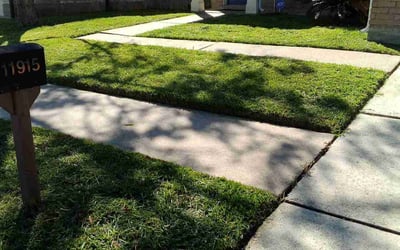 Photo of Bryan B.'s yard after getting lawn care in Universal City, TX