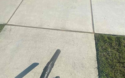 Photo of Logan M.'s yard after getting lawn care in Belmont, MA