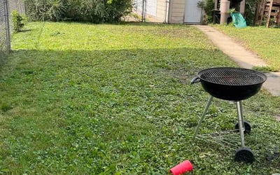 Photo of Owen P.'s yard after getting lawn care in Batavia, OH