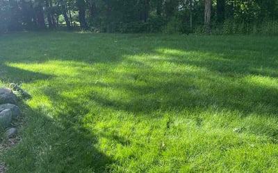 Photo of Lisa H.'s yard after getting lawn care in New Berlin, WI