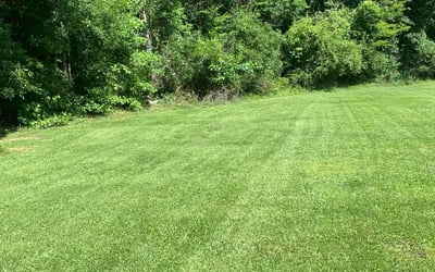 Photo of Brandy S.'s yard after getting lawn care in Lancaster, SC